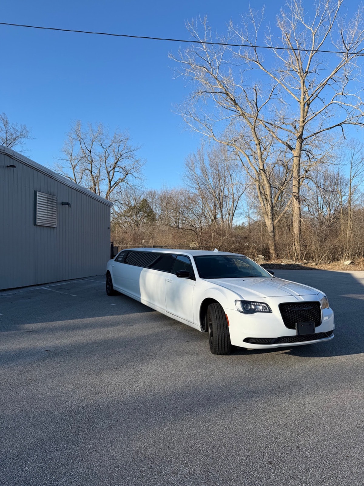 Lincoln Continental Stretch Limousine — photo 2