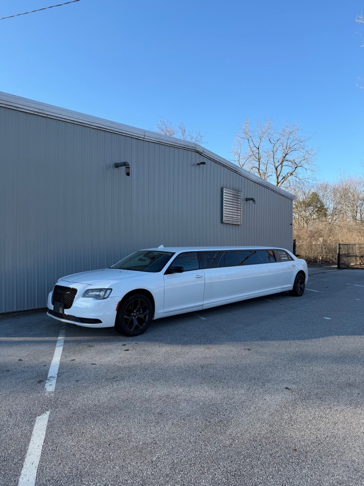 Lincoln Continental Stretch Limousine — photo 9