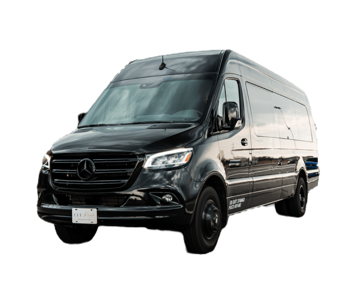 Mercedes Limo Sprinter — photo 4